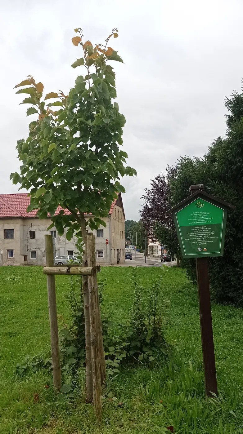 Współpraca Oddziału Łużyckiego PTSM w Klubem Czeskich Turystów z Krasnej Lipy.